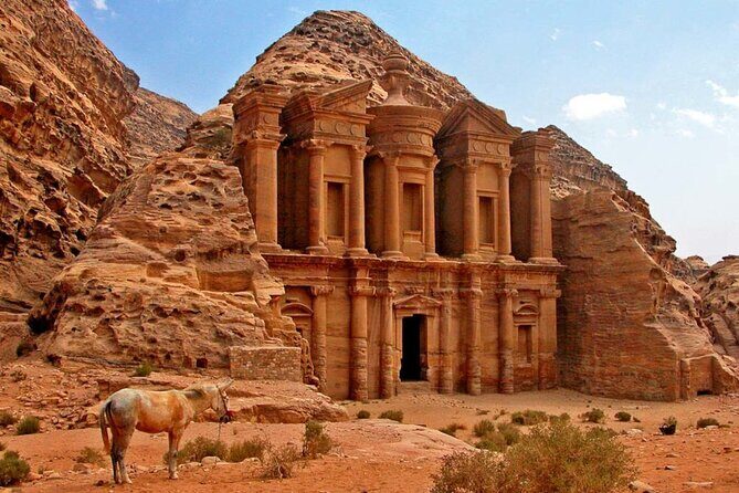 Private Petra Sightseeing day tour from Aqaba port - Starting Point and Transportation
