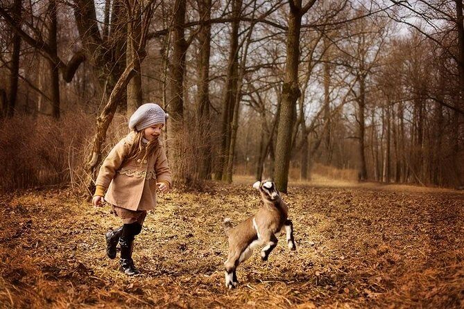 Private Photo Session with a Local Photographer in St. Petersburg - Key Points