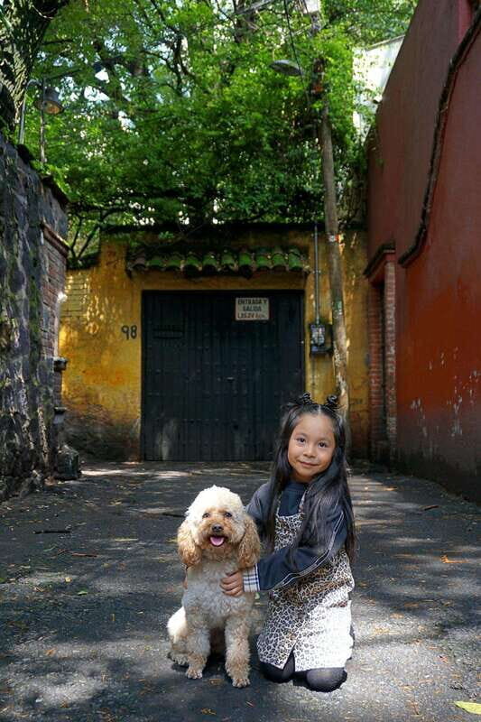 Private photo shoot in the heart of Coyoacán (1-3 people) - What’s Included & What to Keep in Mind