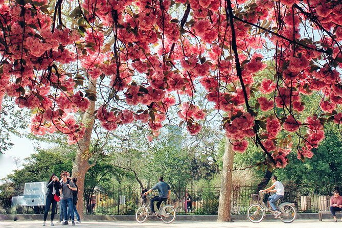 private-photo-tour-in-paris-with-a-professional-photographer