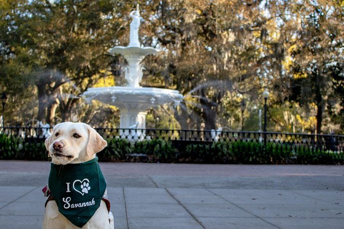 private-photoshoot-in-savannah-ga