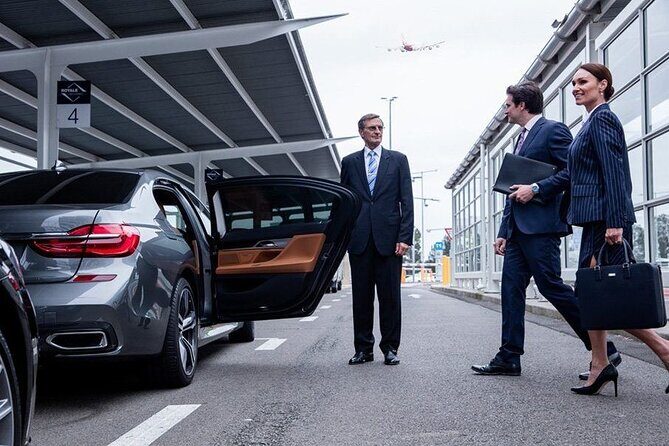 Private Pickup Transfer from Cairo Airport to Hotels in Cairo - Private, Air-Conditioned Vehicle
