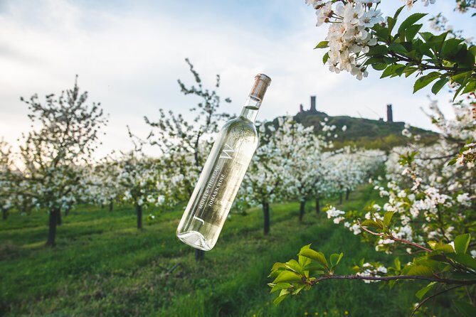 Private PICNIC in Bohemian Vineyards and Wine Tasting 4WD Tour - Exploring Czech Vineyards and Hidden Countryside: A Practical Review of the Private Picnic & Wine Tasting Tour
