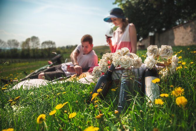 Private PICNIC in Bohemian Vineyards and Wine Tasting 4WD Tour - Key Points