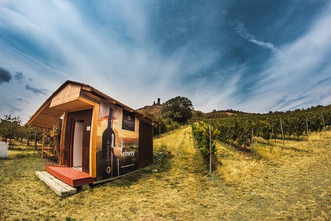 Private PICNIC in Bohemian Vineyards and Wine Tasting 4WD Tour - FAQ Section