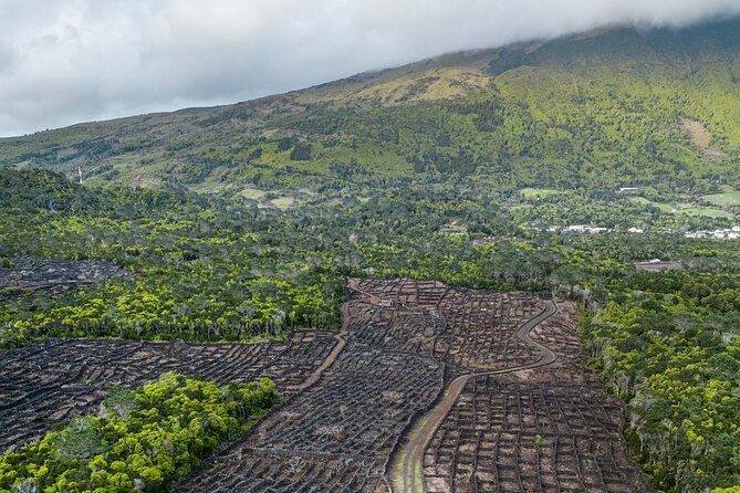 private-pico-wine-tour-half-day
