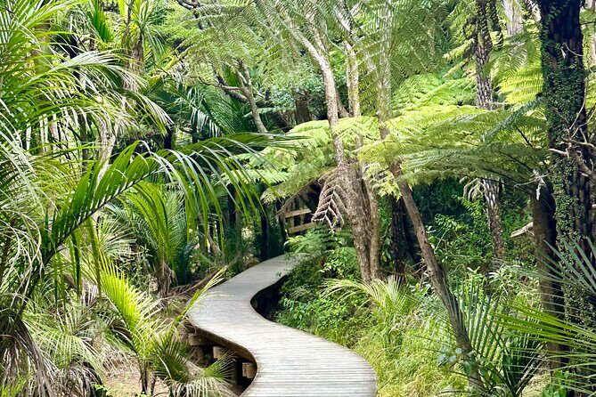 Private Piha Beach, Rainforest Adventure & Mt. Eden with Guide - Practical Details and What to Expect  