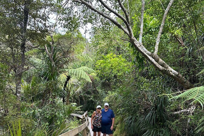 Private Piha Beach, Rainforest Adventure & Mt. Eden with Guide - Who is This Tour Best For?