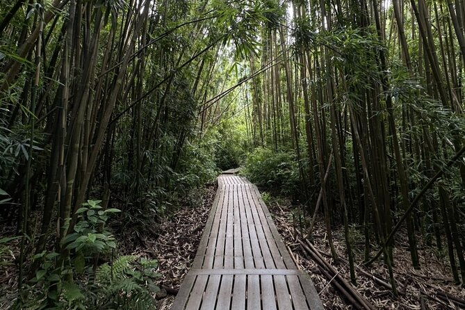 private-pipiwai-trail-maui-open-air-jeep-tour