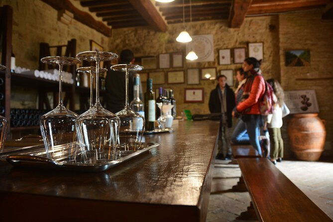 private-pisa-lucca-day-tour-from-florence-2