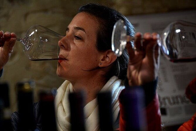 private-pisa-lucca-day-tour-from-florence-2