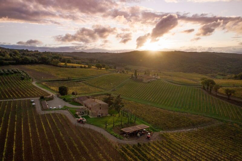 private-plus-wine-tasting-tour