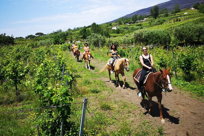 private-pompeii-horse-riding-lunch-tour-w-pick-up-included