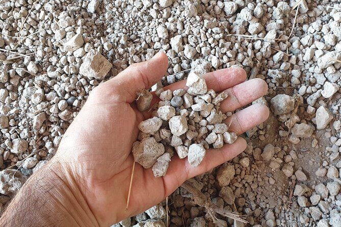 private-pompeii-tour-with-archaeologist-wines-on-mt-vesuvius