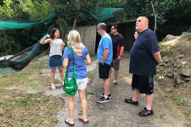 private-pompeii-tour-with-lunch-and-olive-oil-factory-experience