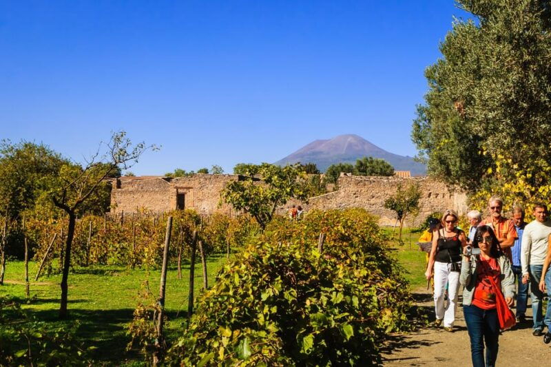 private-pompeii-vesuvius-wine-tasting-tour