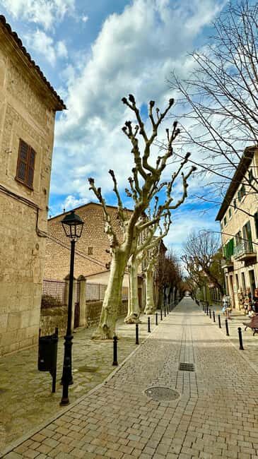 PRIVATE Port de Sóller, Sóller, and Sa Foradada Sunset Tour - A Closer Look at the Itinerary