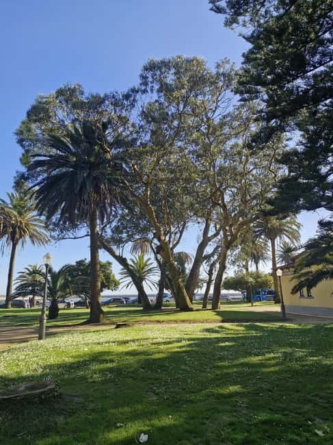 Private Porto City Tour with Seafood Lunch and Coastal Views - Scenic Drive Along the Matosinhos Coast