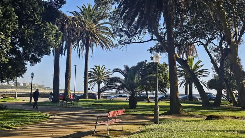 Private Porto City Tour with Seafood Lunch and Coastal Views - FAQs