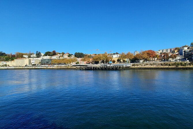 private-porto-discovery-walking-tour-wine-cellars-with-tastings