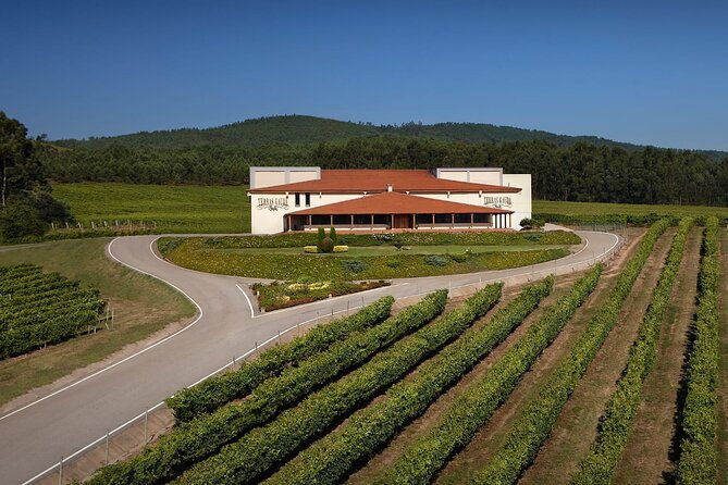 private-porto-santiago-compostela-tour-with-albarino-wine