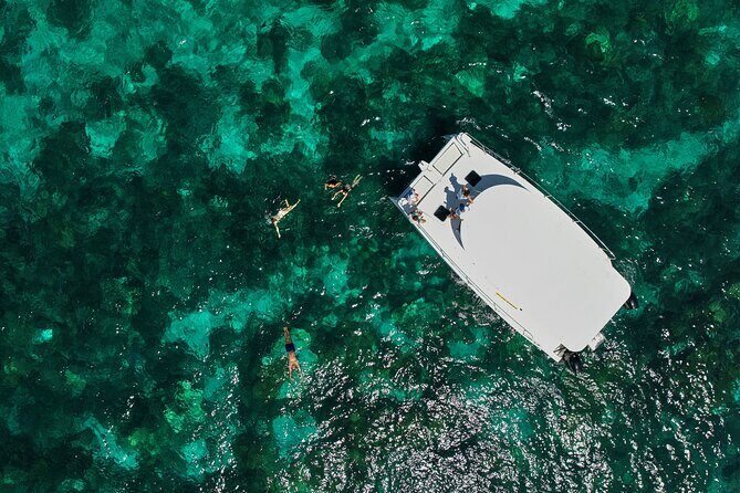 Private Power Catamaran trip from Pointe Jerome - Practical Tips for Booking and Enjoyment