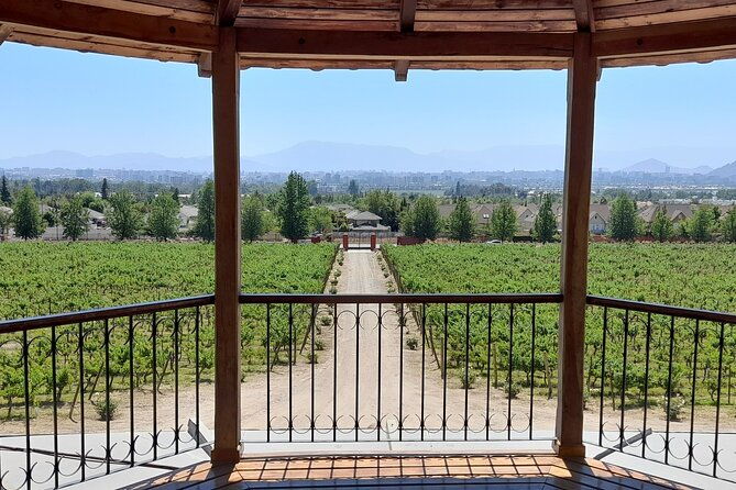 private-pre-post-cruise-tour-valparaiso-casablanca-wine-valley