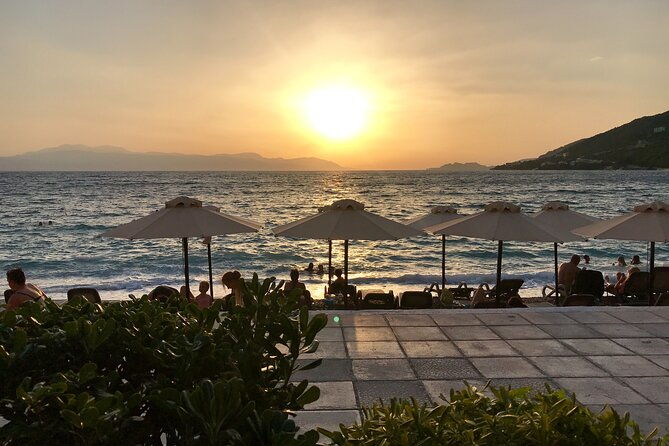 private-premium-olive-oil-tasting-tour-with-a-pickup