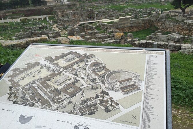 private-premium-olive-oil-tasting-tour-with-a-pickup