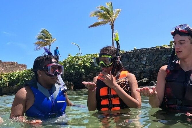 private-premium-snorkeling-tours