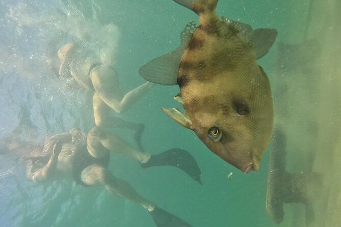 private-premium-snorkeling-tours