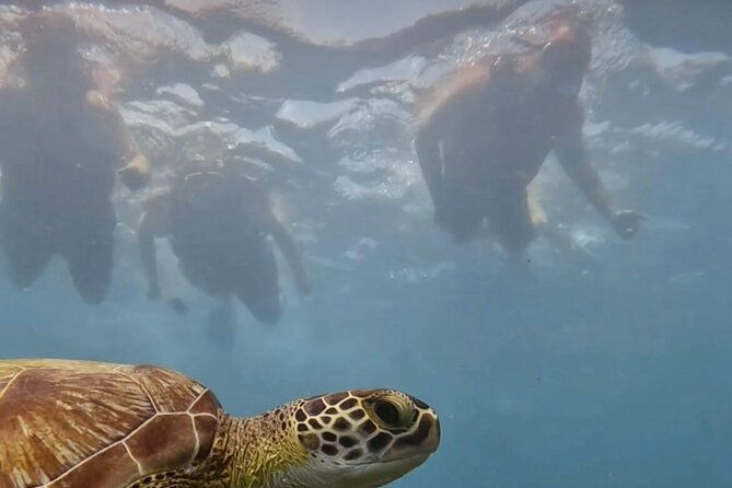 private-premium-snorkeling-tours