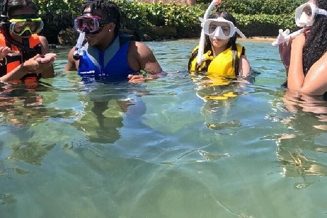 private-premium-snorkeling-tours