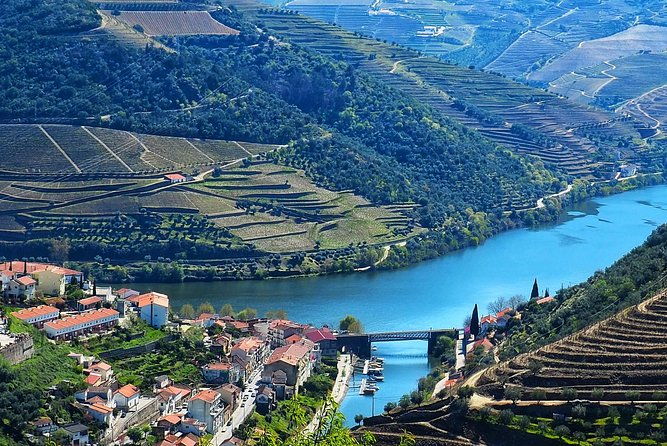 private-premium-wine-experience-through-douro-valley