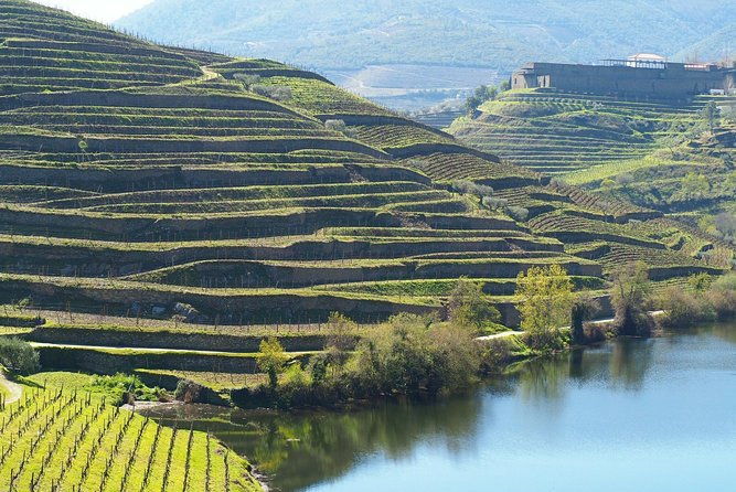 private-premium-wine-experience-through-douro-valley