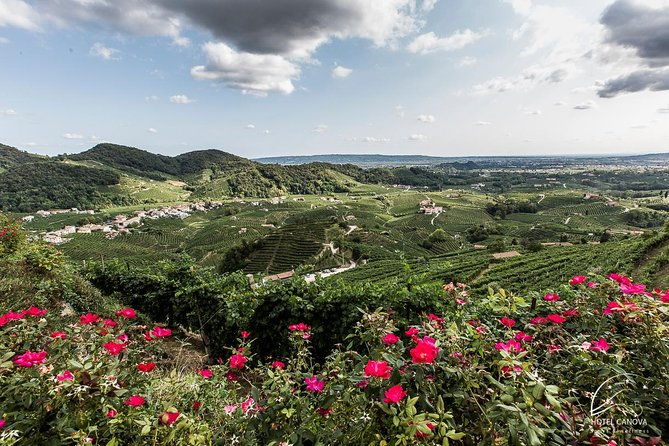 private-prosecco-tour-with-a-certified-sommelier