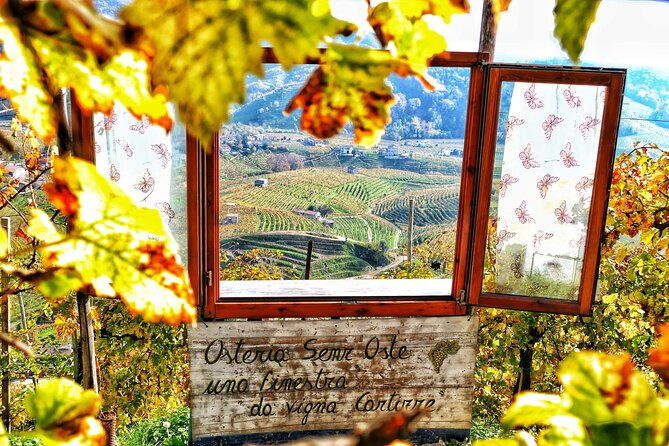 private-prosecco-tour-with-a-certified-sommelier