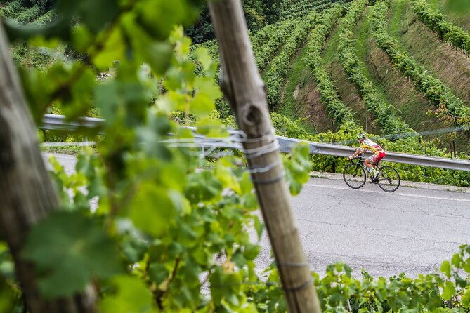 private-prosecco-tour-with-a-certified-sommelier