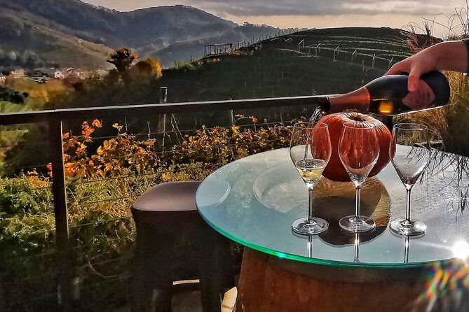 private-prosecco-tour-with-a-certified-sommelier