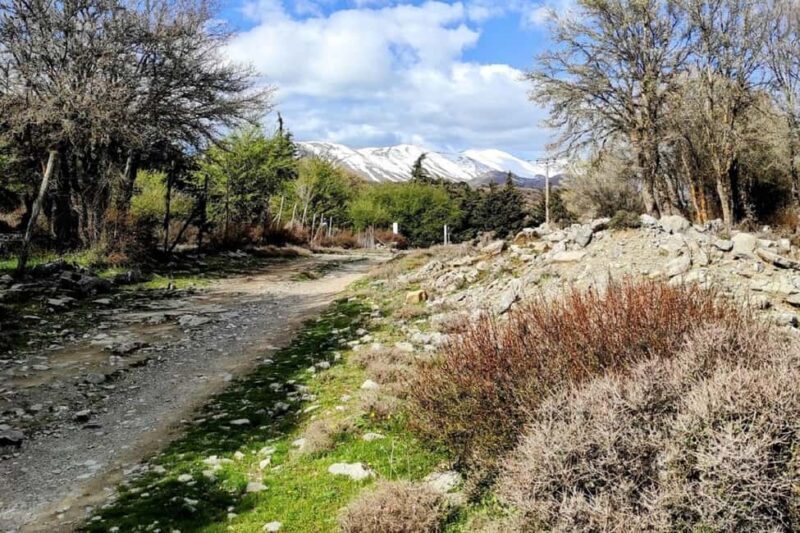 Private Psiloritis Mountain of Gods & Cooking Lesson - Authentic Greek Coffee in Anogia