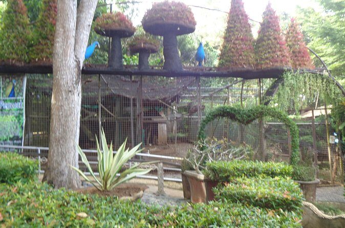 Private Puerto Princesa City Tour : A Sightseeing Excursion - Final Thoughts: Who Will Love This Tour?