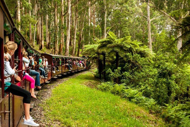 Private Puffing Billy Steam Train and Healesville Sanctuary Tours - A Closer Look at the Itinerary