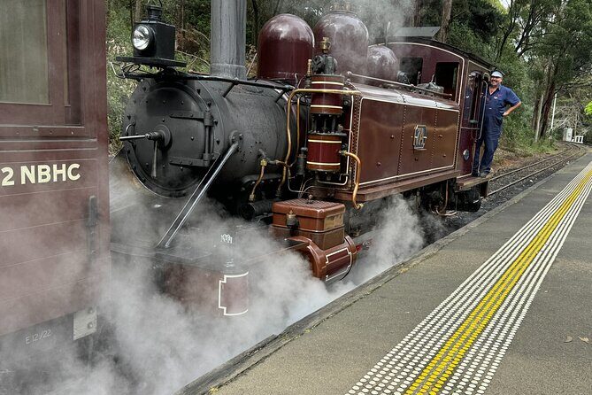 Private Puffing Billy Steam Train and Healesville Sanctuary Tours - Authentic Insights from Reviewers