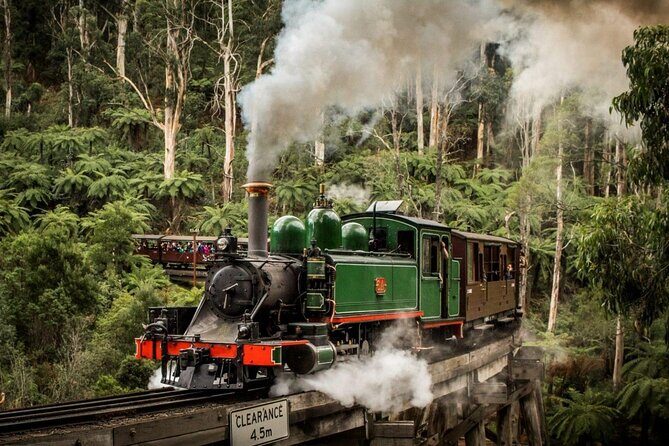Private Puffing Billy Steam Train and Healesville Sanctuary Tours - Who Is This Tour Best For?