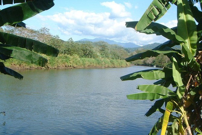 private-puntarenas-shore-excursion-tarcoles-river-boat-tour-at-the-jungle