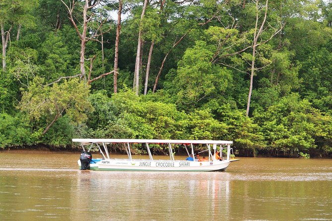 private-puntarenas-shore-excursion-tarcoles-river-boat-tour-at-the-jungle