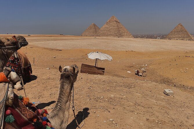 Private Pyramids, Sphinx and Grand Egyptian Museum Tour - Final Thoughts