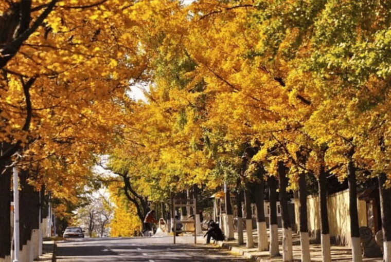 private-qingdao-city-tour-with-qingdao-beer-and-lunch
