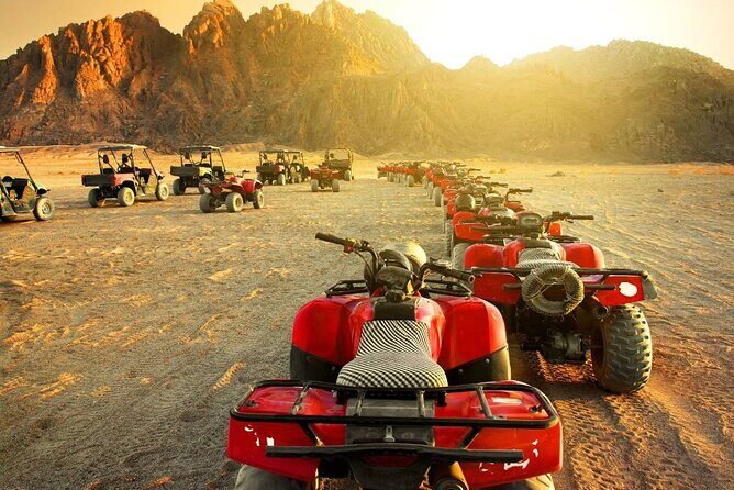 Private Quad Bikes Tour With Camel & Bedouin village in Hurghada - An In-Depth Look at the Desert Adventure