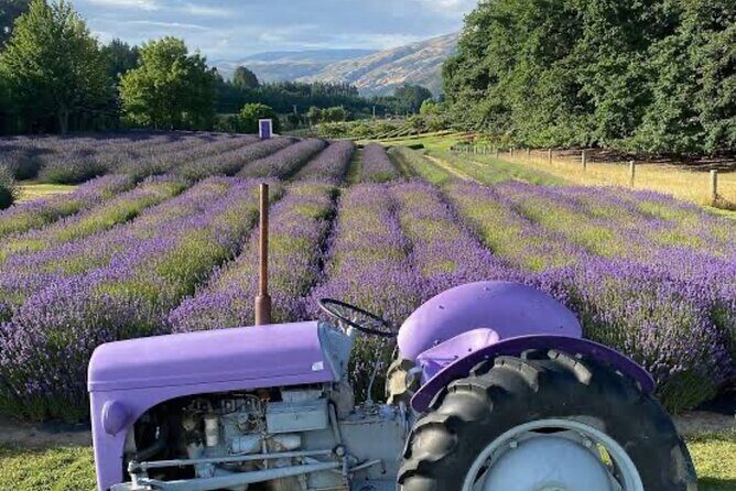 Private Queenstown and Wanaka City Day Tour - Unpacking the Itinerary: What You’ll Experience
